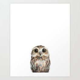 Little Owl Kunstdrucke | Children, Wildlife, Acrylic, Animal, Ink, Owl, Watercolor, Baby, Painting, Nature 