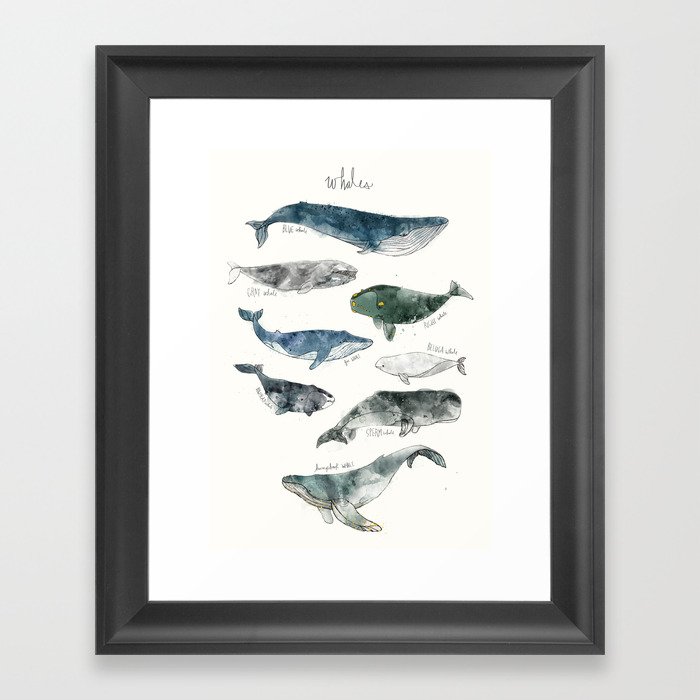 Whales Framed Art Print
