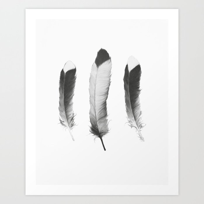 Feathers Sketch Art Print
