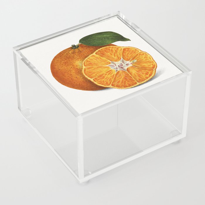 Delicious Orange Tangerine Illustration Acrylic Box