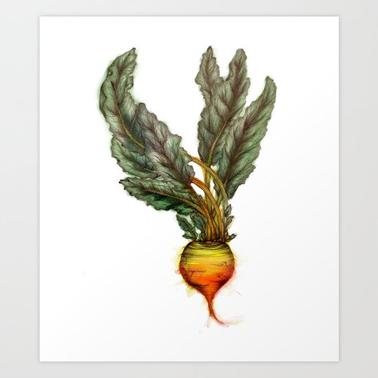 Rooted: The Golden Beet Art Print