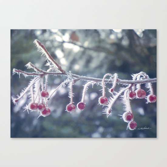 Berry Ice Freeze Canvas Print