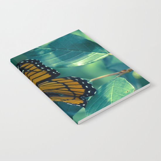 Viceroy Notebook