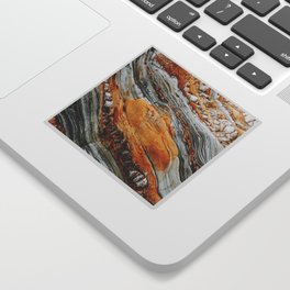 Gray Copper Marbled Petrified Wood Sticker