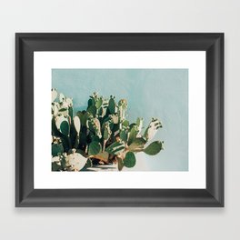 Prickly pear cactus in Marfa, West Texas Framed Art Print