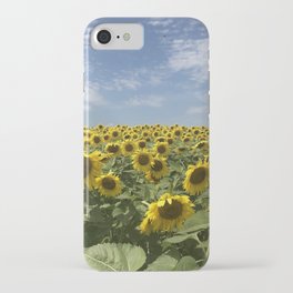 Field of sunflowers, Minneapolis photography series, no. 3 iPhone Case