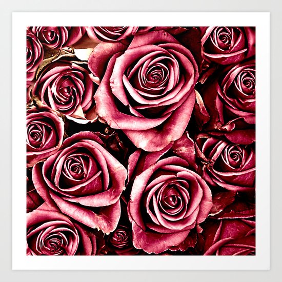 Vintage roses(4) Art Print