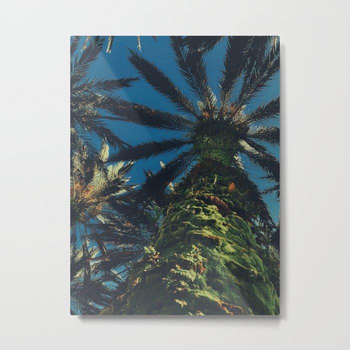 The Palm Tree Metal Print