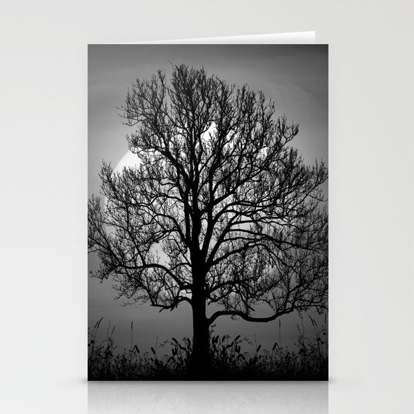 One tree hill; harvest moon, autumn nature portrait black and white photograph - photography - photographs Stationery Cards