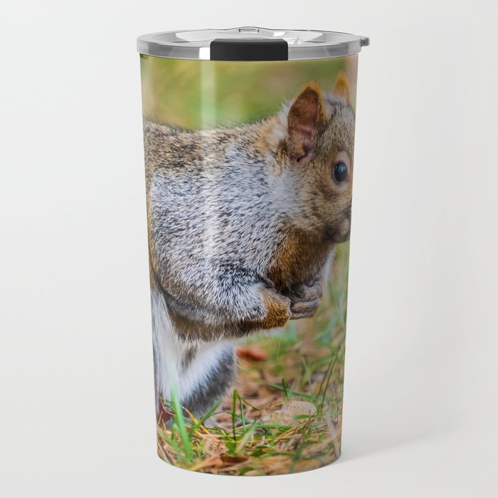 Cute Autumn Squirrel, Prepares for Winter Photograph Travel Mug