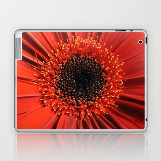 Red Laptop & iPad Skin