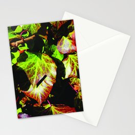 Red and green Ivy in January Stationery Card