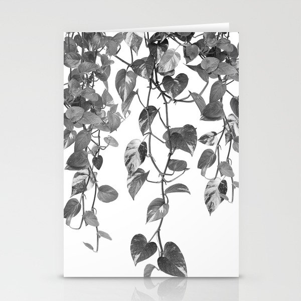 Golden Pothos Ivy Dream #2 #tropical #wall #art #society6 Stationery Cards