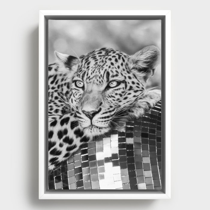 Framed Canvas