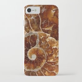 Ammonite iPhone Case