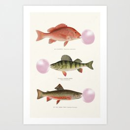 Bubblegum Fish Art Print