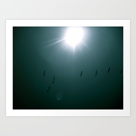 Birds in Blue Sky Art Print