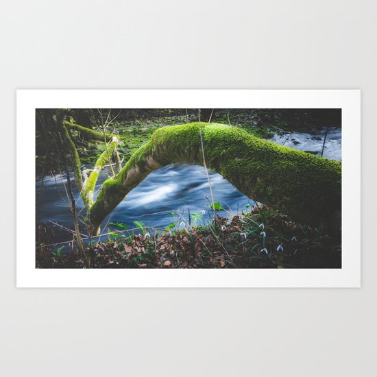 Enchanted magical forest Art Print