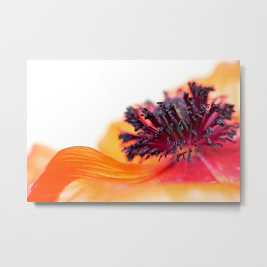 Eruption of colors... (I) Metal Print