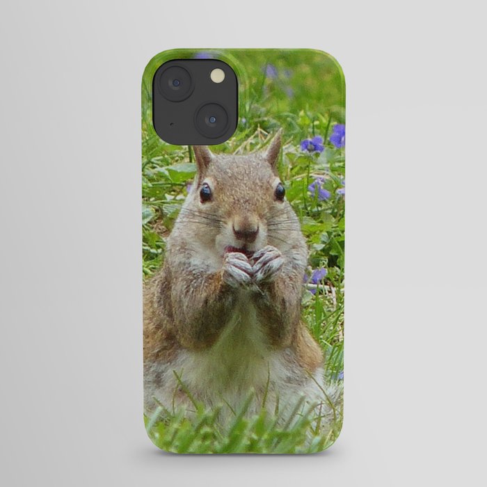 Squirrel Amongst Wild Violets iPhone Case