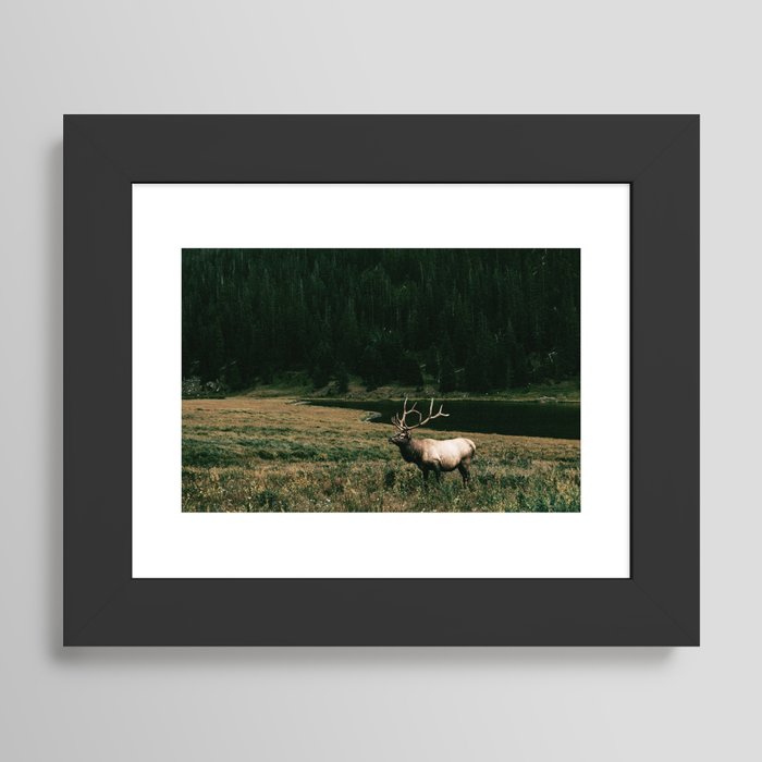 Framed Art Print