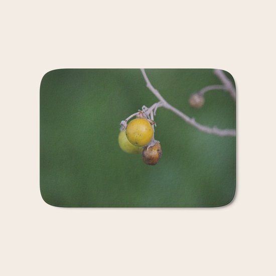 Delicate Bath Mat
