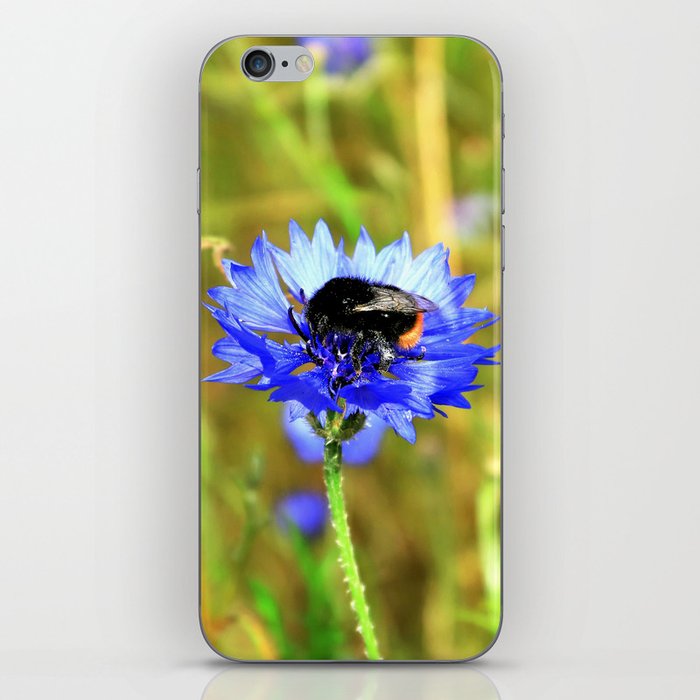 Bumblebee on Blue Cornflower iPhone Skin