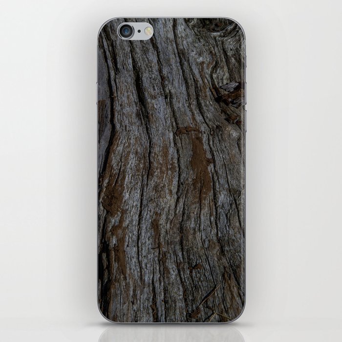 Koa Tree Trunk iPhone Skin