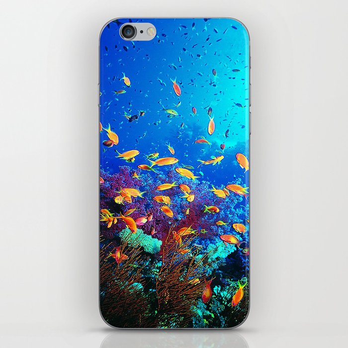 Sea Fish iPhone Skin