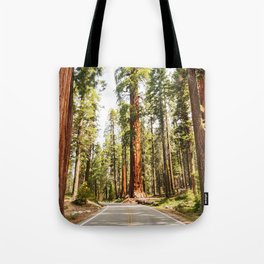 sequoia tree Tote Bag