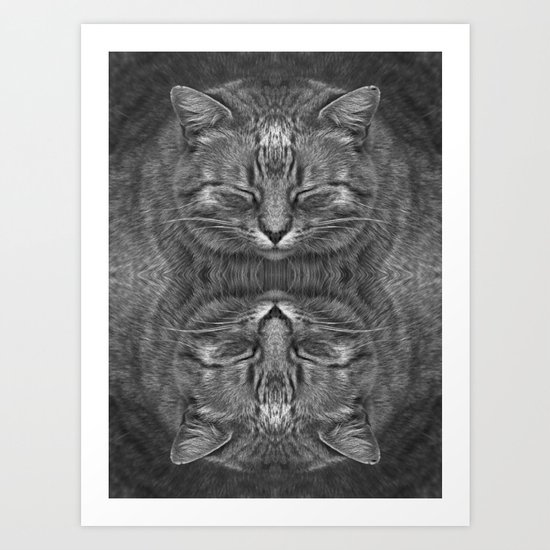 Ginger, in reflection and B&W Art Print