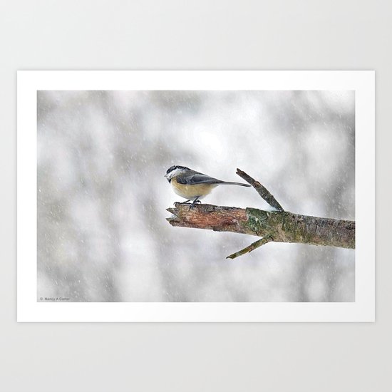 Chickadee Versus Winter Storm Stella Art Print