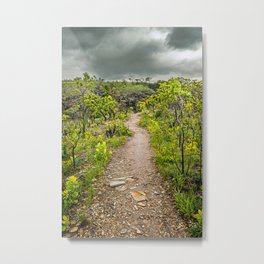 The path of Cerrado. Rocky trail surrounded by the Cerrado vegetation of Brazil on a cloudy day. Metal Print