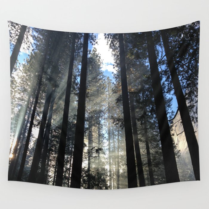 Sunlight Shines Through the Trees Wall Tapestry