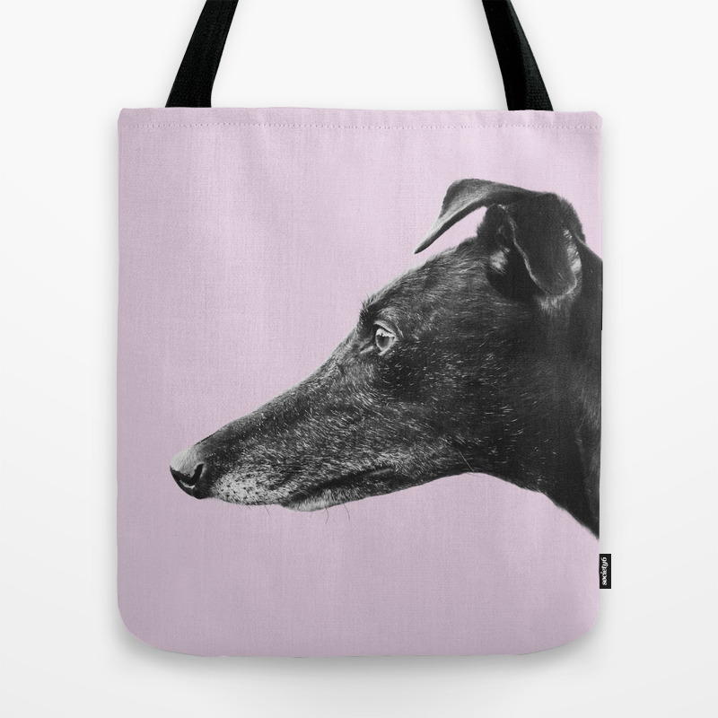greyhound bags allowed