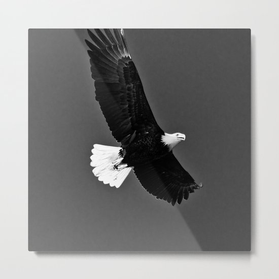 Freedom Eagle (black) Metal Print