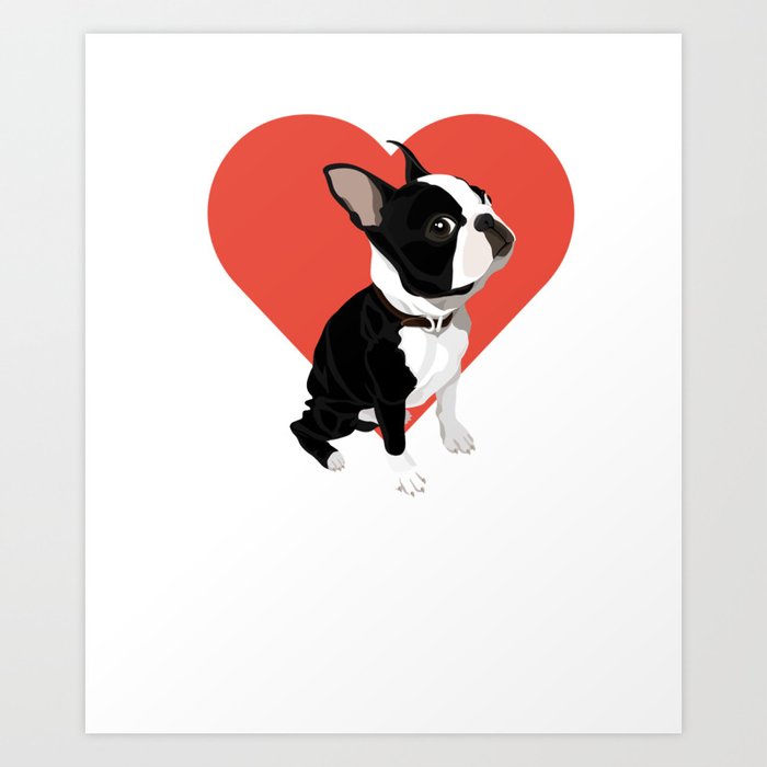 Valentine Shirt For Boston Terrier Lover Art Print