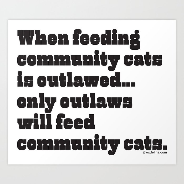 When feeding community cats is outlawed... Art Print