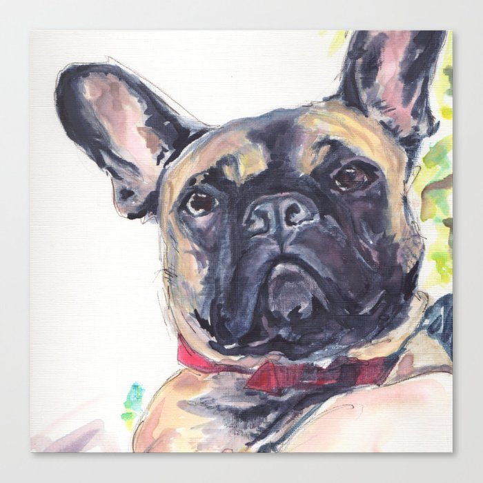 Pouty French Bulldog  Canvas Print