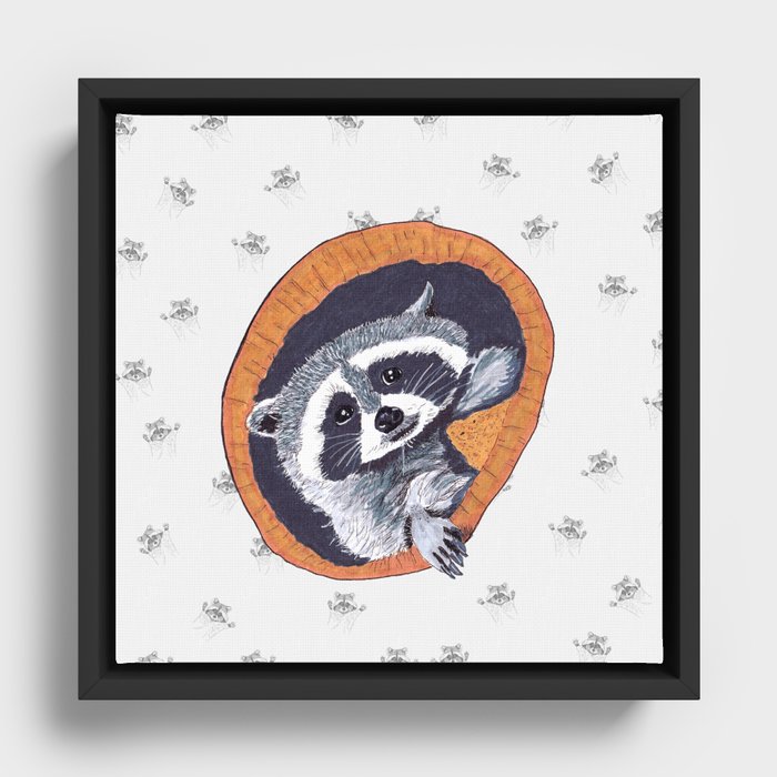 Peeking Raccoon#1 White Pallet Framed Canvas