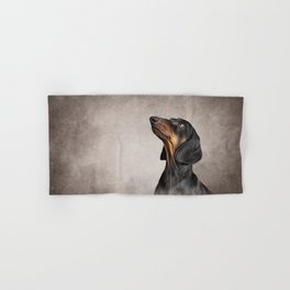 Drawing Dog breed dachshund 5 Hand & Bath Towel