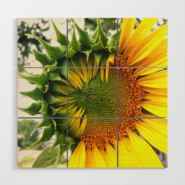 Sunflower Meditation / Partly Sunny  Wood Wall Art