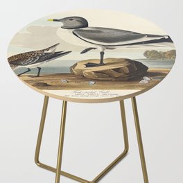 Fork-tailed Gull from Birds of America (1827) by John James Audubon  Side Table