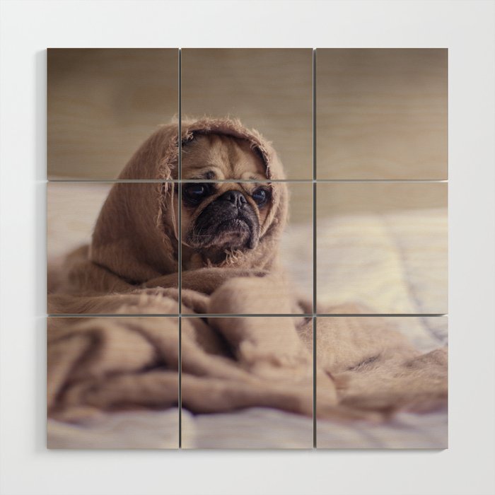 Snug Pug In A Rug Wood Wall Art By Peggieprints