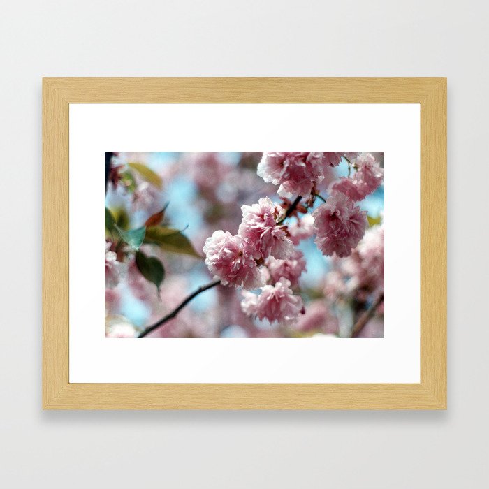 Soft Spring Framed Art Print