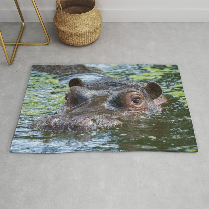 Hippo In The Water Rug