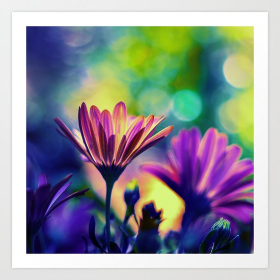 Sun in the Heart Art Print