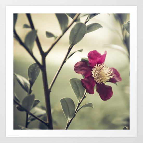 I feel fine Art Print