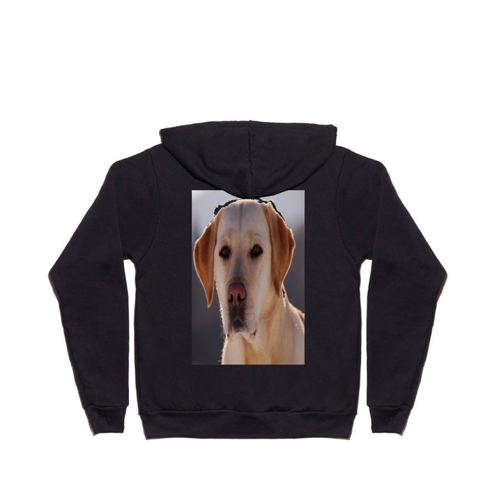 Labrador retriever hoodies cheap
