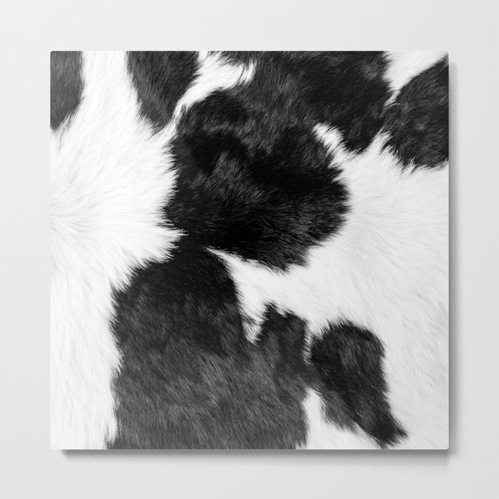 Decorative Black and White Cowhide Metal Print